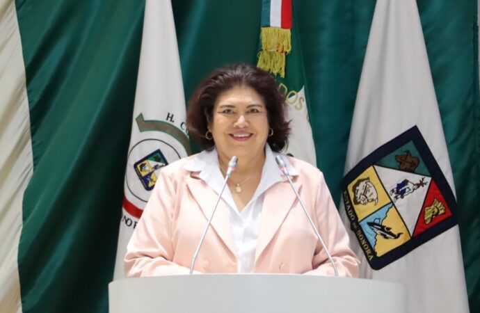 Impulsan crear el Sistema de Registro Hospitalario de Nacimientos