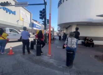 Paloma contra transformador genera alarma en el Centro de Hermosillo