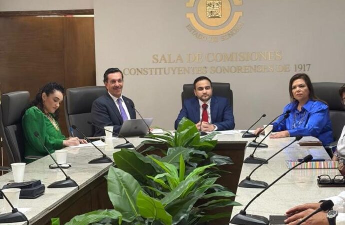 Analizan en el Congreso la ley de derechos de autor