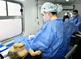 Supera Hermosillo las 50 mil esterilizaciones de mascotas con campañas gratuitas en colonias