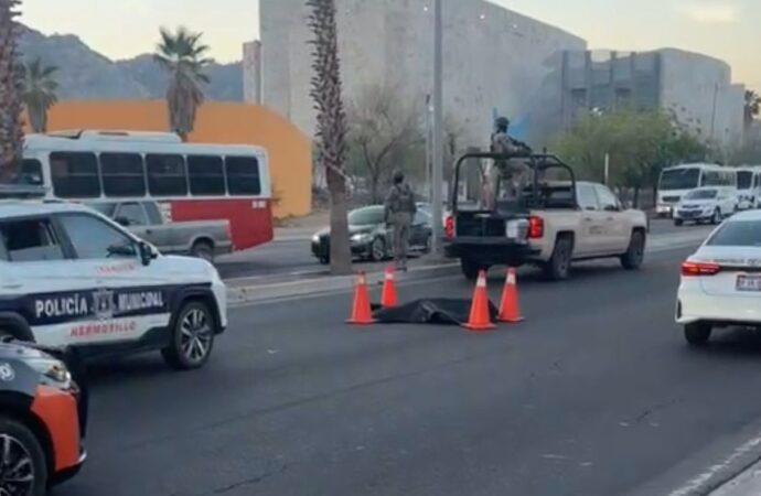 Atropellan a hombre frente a MUSAS