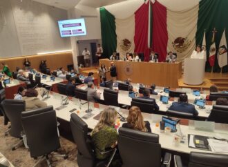 Propone Vicky Espinoza protección de datos personales en línea