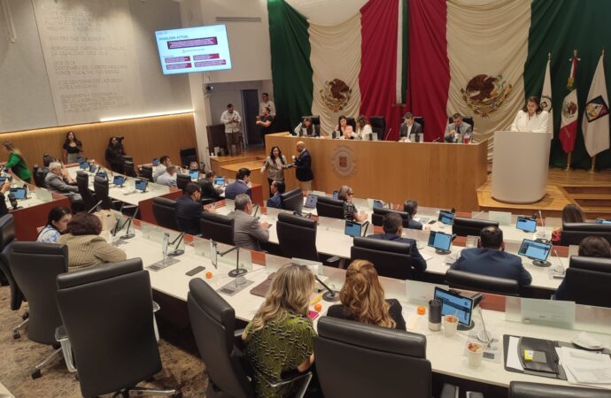 Propone Vicky Espinoza protección de datos personales en línea