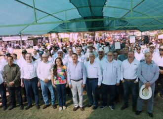 Sonora impulsa cultivos de menor consumo de agua para enfrentar crisis hídrica en el campo