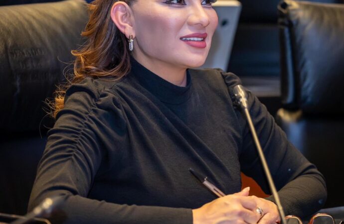 Reforma electoral, un compromiso cumplido al pueblo: Lorenia Valles