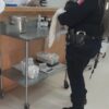 Policía de Cajeme pone a salvo a bebé en abandono; ya recibe atención médica