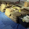 Golpe al crimen en Sonora: detienen a 172 personas y decomisan más de 2 millones de dosis de droga