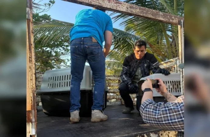 Cuestionan versión oficial por derrame en Veracruz; reportan fauna afectada y amplia zona contaminada