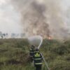 Incendio consume casi 8 hectáreas de vegetación en Xochimilco