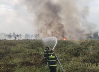 Incendio consume casi 8 hectáreas de vegetación en Xochimilco