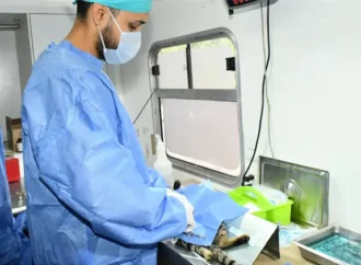 Refuerzan campañas de esterilización en colonias periféricas de Hermosillo