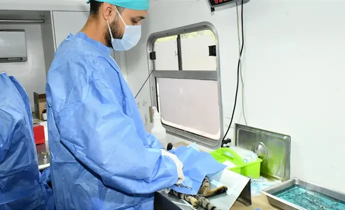 Refuerzan campañas de esterilización en colonias periféricas de Hermosillo