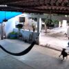 Detenido en Navojoa por golpear brutalmente a “Toto”, un perro amarrado