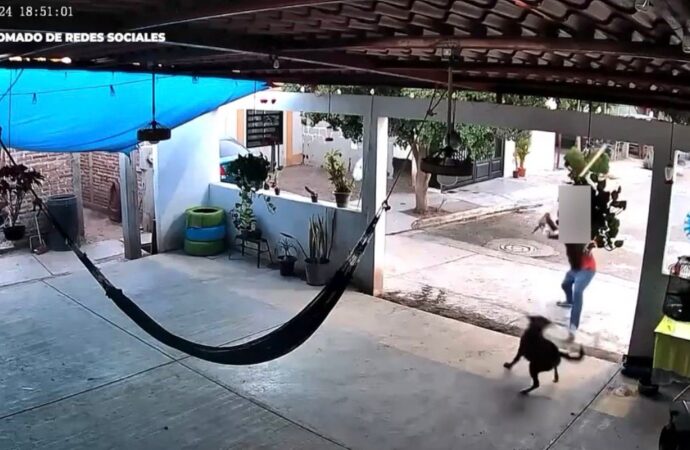 Detenido en Navojoa por golpear brutalmente a “Toto”, un perro amarrado
