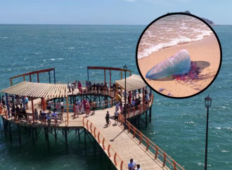 Quemaduras por “agua mala”, principal causa de atención en Bahía de Kino
