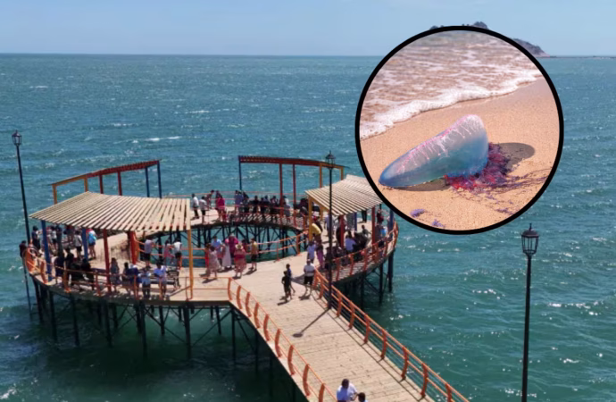 Quemaduras por “agua mala”, principal causa de atención en Bahía de Kino