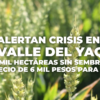 Alertan crisis en el Valle del Yaqui: 80 mil hectáreas sin sembrar; urge precio de 6 mil pesos para el trigo