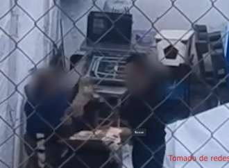 Ejecuta AMIC orden de aprehensión por maltrato animal en Nogales