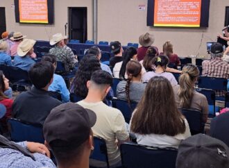 La inteligencia artificial impulsa el mejoramiento genético del ganado en Sonora