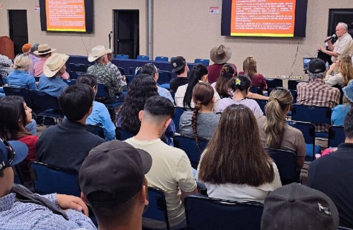 La inteligencia artificial impulsa el mejoramiento genético del ganado en Sonora