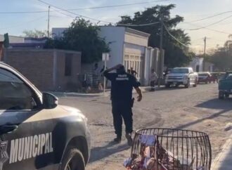 Balacera en Villa Bonita: hay un detenido y no hay víctimas.