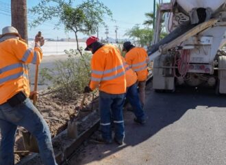 Avanza la construcción de banquetas en bulevar García Morales