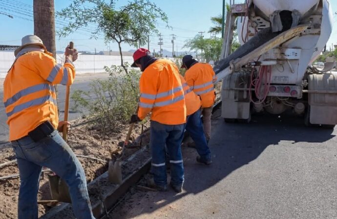 Avanza la construcción de banquetas en bulevar García Morales