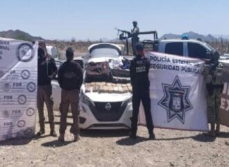 Aseguran más de 109 mil dosis de droga y detienen a 136 personas en operativos en Sonora