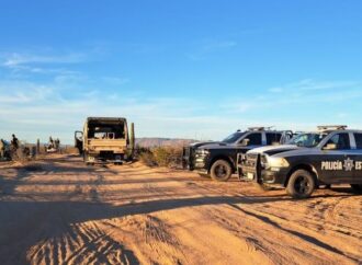 Aseguran más de 26 mil dosis de droga en la frontera de Sonora