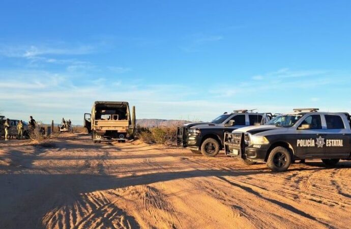 Aseguran más de 26 mil dosis de droga en la frontera de Sonora