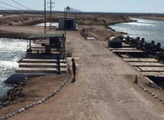 Productores de Sonora arrancan ciclo con siembra de 28 mil hectáreas de camarón