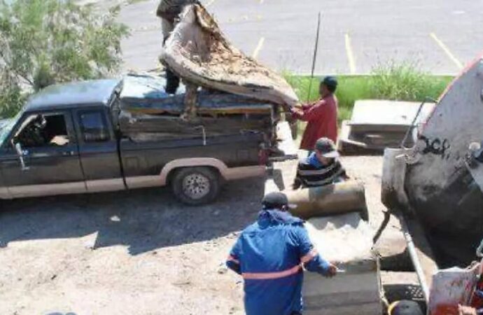 Retiran 571 toneladas de desechos en jornadas de descacharre en Hermosillo durante 2026