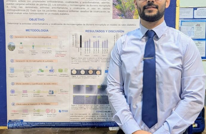 Proponen biomateriales para la cicatrización de pacientes con diabetes