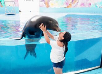 Sonora se llena de vida en Semana Santa; visitantes disfrutan el Centro Ecológico, El Cochórit y San Carlos