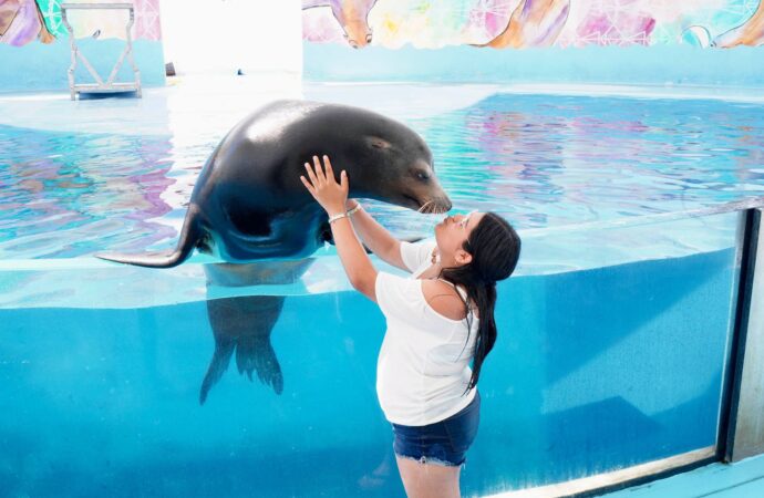 Sonora se llena de vida en Semana Santa; visitantes disfrutan el Centro Ecológico, El Cochórit y San Carlos