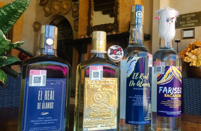 Productores de bacanora buscan certificación y expansión a mercados internacionales