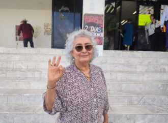 Piden más presupuesto para garantizar la pensión alimenticia de las infancias