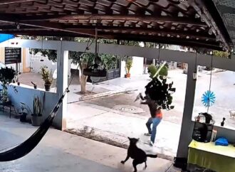 Alcalde Jorge Elías Retes anuncia denuncia y nuevas medidas tras caso de maltrato animal en Navojoa