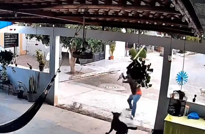 Alcalde Jorge Elías Retes anuncia denuncia y nuevas medidas tras caso de maltrato animal en Navojoa