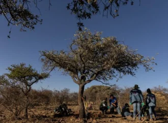 Organizaciones respaldan informe de la ONU sobre desapariciones y cuestionan respuesta del gobierno de Sheinbaum