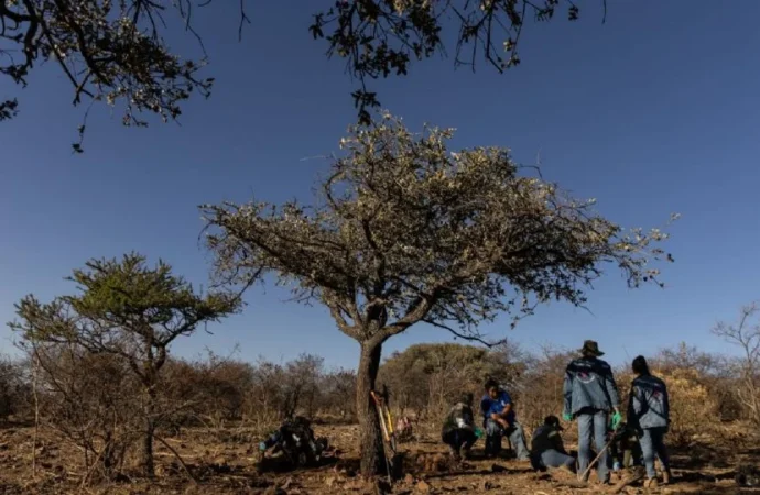 Organizaciones respaldan informe de la ONU sobre desapariciones y cuestionan respuesta del gobierno de Sheinbaum
