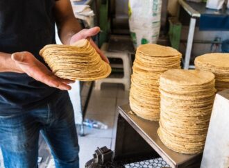 Descartan alza importante en la tortilla tras diálogo con Sheinbaum; prevén ajustes mínimos