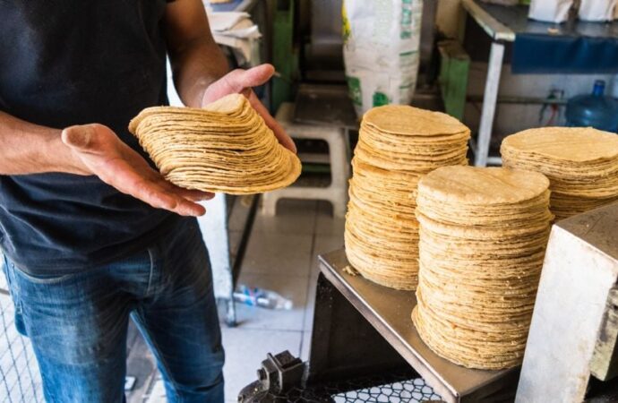 Descartan alza importante en la tortilla tras diálogo con Sheinbaum; prevén ajustes mínimos