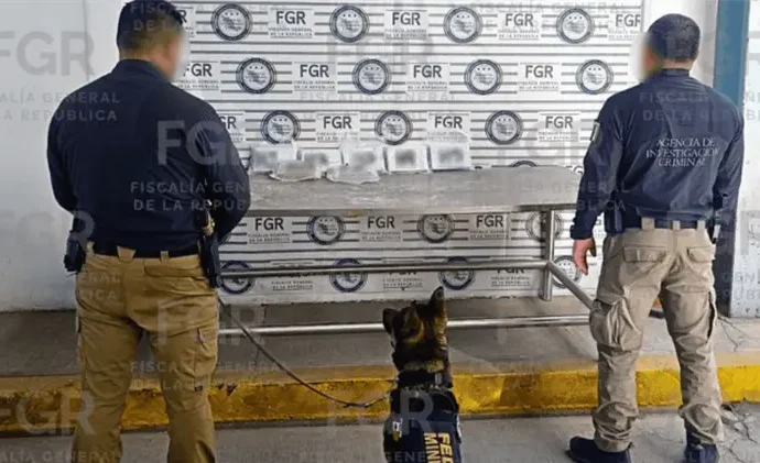 Aseguran cerca de 7 kilos de fentanilo en empresa de paquetería en Hermosillo