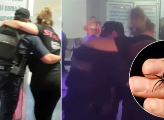 Auxilian a mujer tras picadura de araña venenosa en Hermosillo; fue llevada de emergencia a hospital