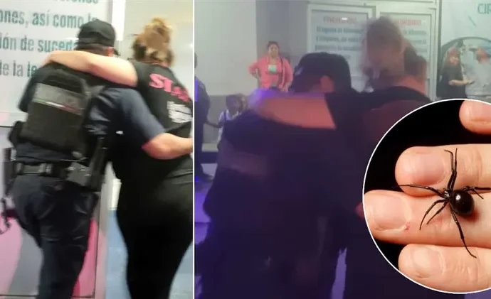 Auxilian a mujer tras picadura de araña venenosa en Hermosillo; fue llevada de emergencia a hospital