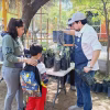 Ayuntamiento de Hermosillo regalará árboles nativos para promover reforestación