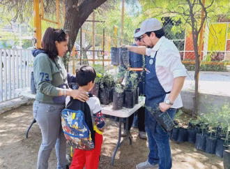Ayuntamiento de Hermosillo regalará árboles nativos para promover reforestación