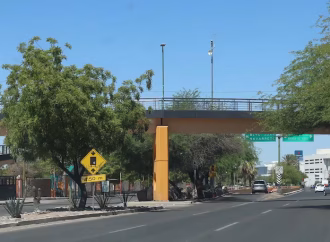Paso peatonal en Luis Encinas frente a la Unison dará prioridad a personas con movilidad limitada