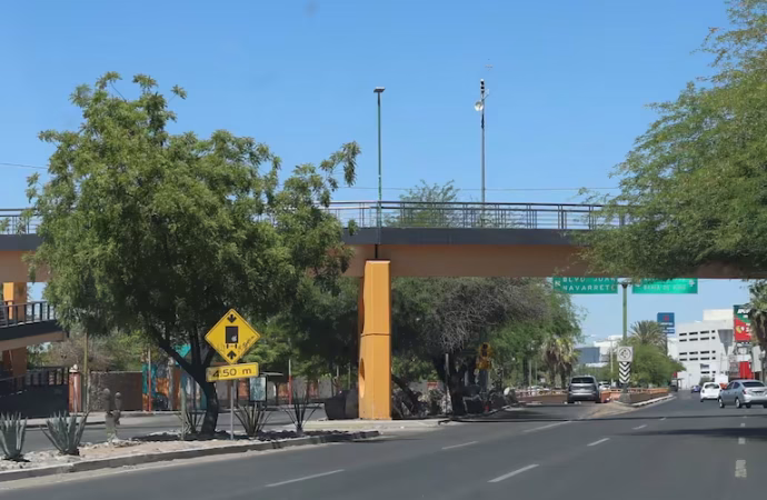 Paso peatonal en Luis Encinas frente a la Unison dará prioridad a personas con movilidad limitada